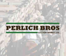 	perlich-logo.jpg